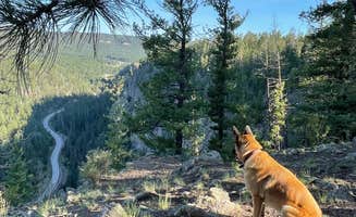 Tiffany J.'s photo of camping with pets at Dispersed on 4 - Fenton Lake State Park near Cuba, NM
