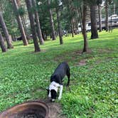 Review photo of Green River Oaks Camping Resort by Jason A., August 2, 2021