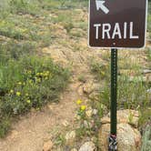 Review photo of Olive Ridge by Fabio O., August 2, 2021