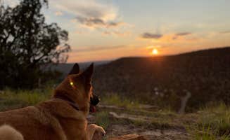 Tiffany J.'s photo of camping with pets at Villanueva State Park Campground near Sapello, NM