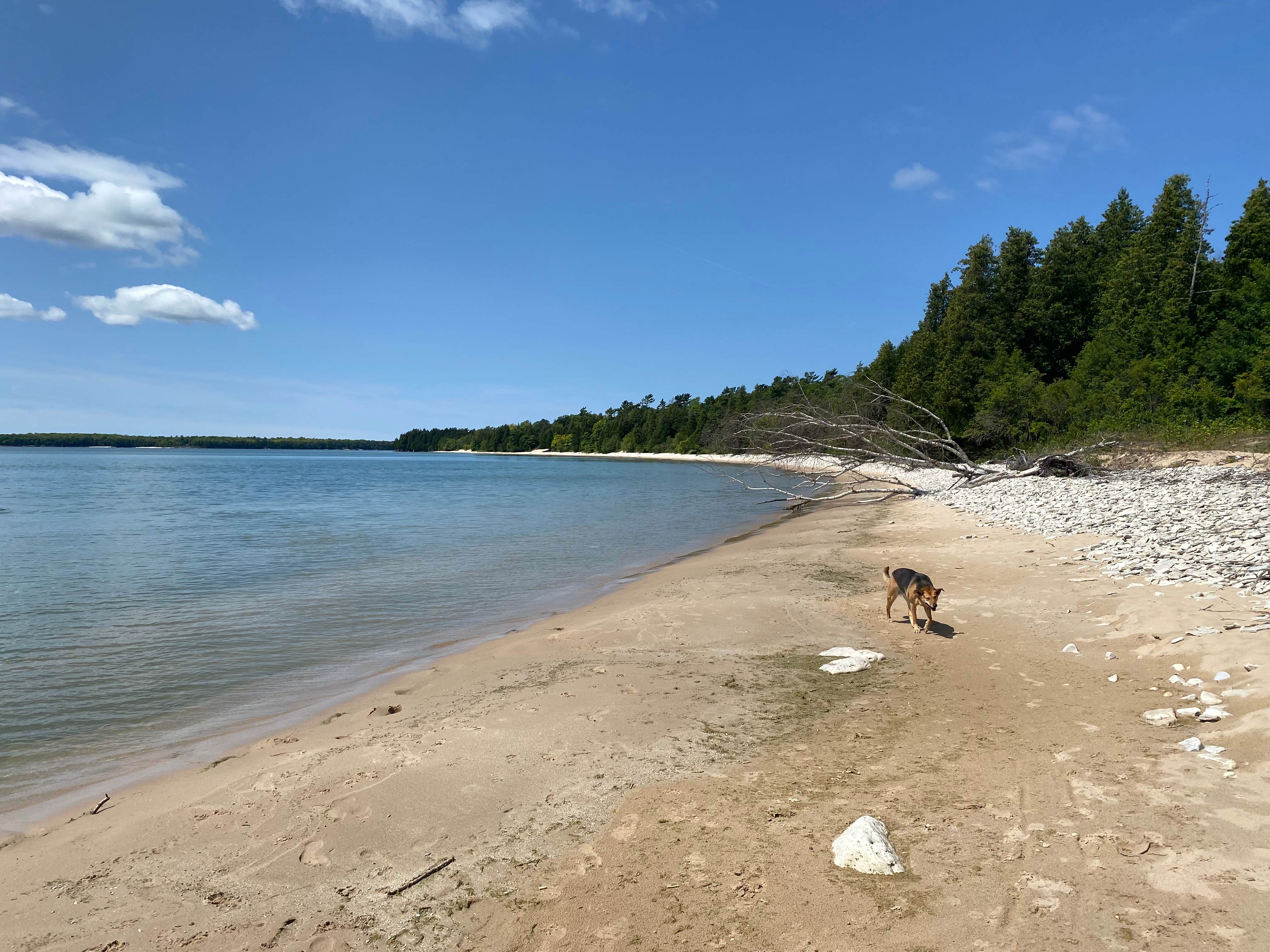 Calli N.'s photo of camping with pets at Rock Island State Park Campground near Escanaba, MI
