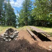 Review photo of Rock Island State Park Campground by Calli N., August 2, 2021