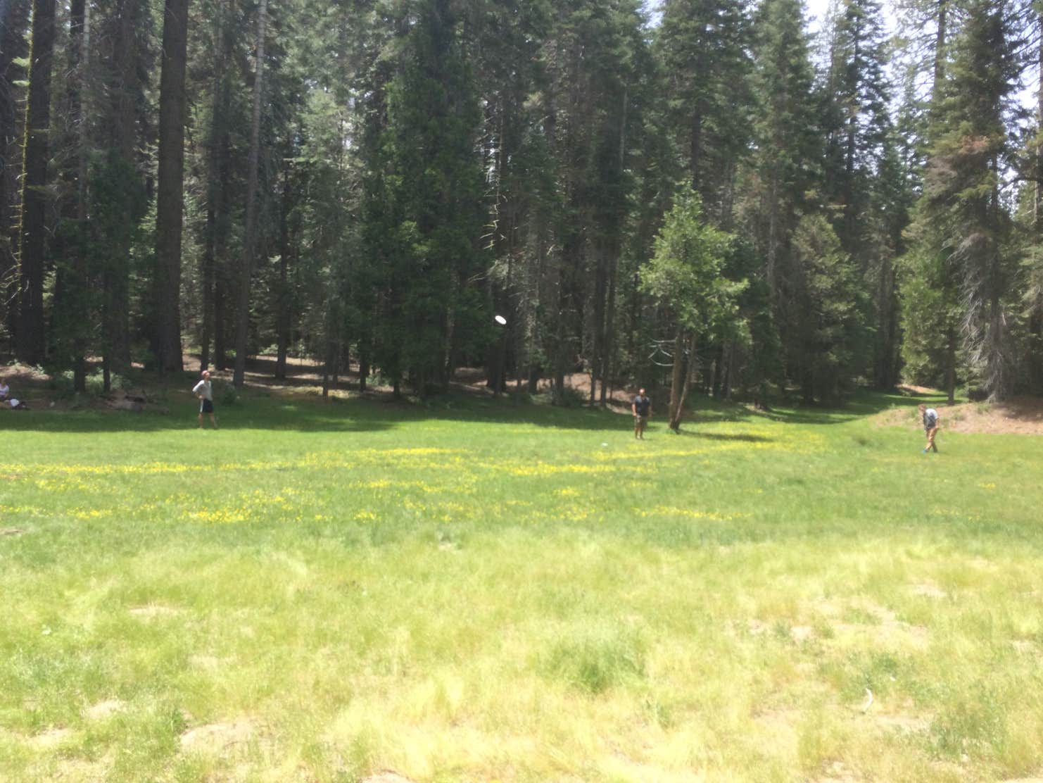 Soquel Campground Camping The Dyrt