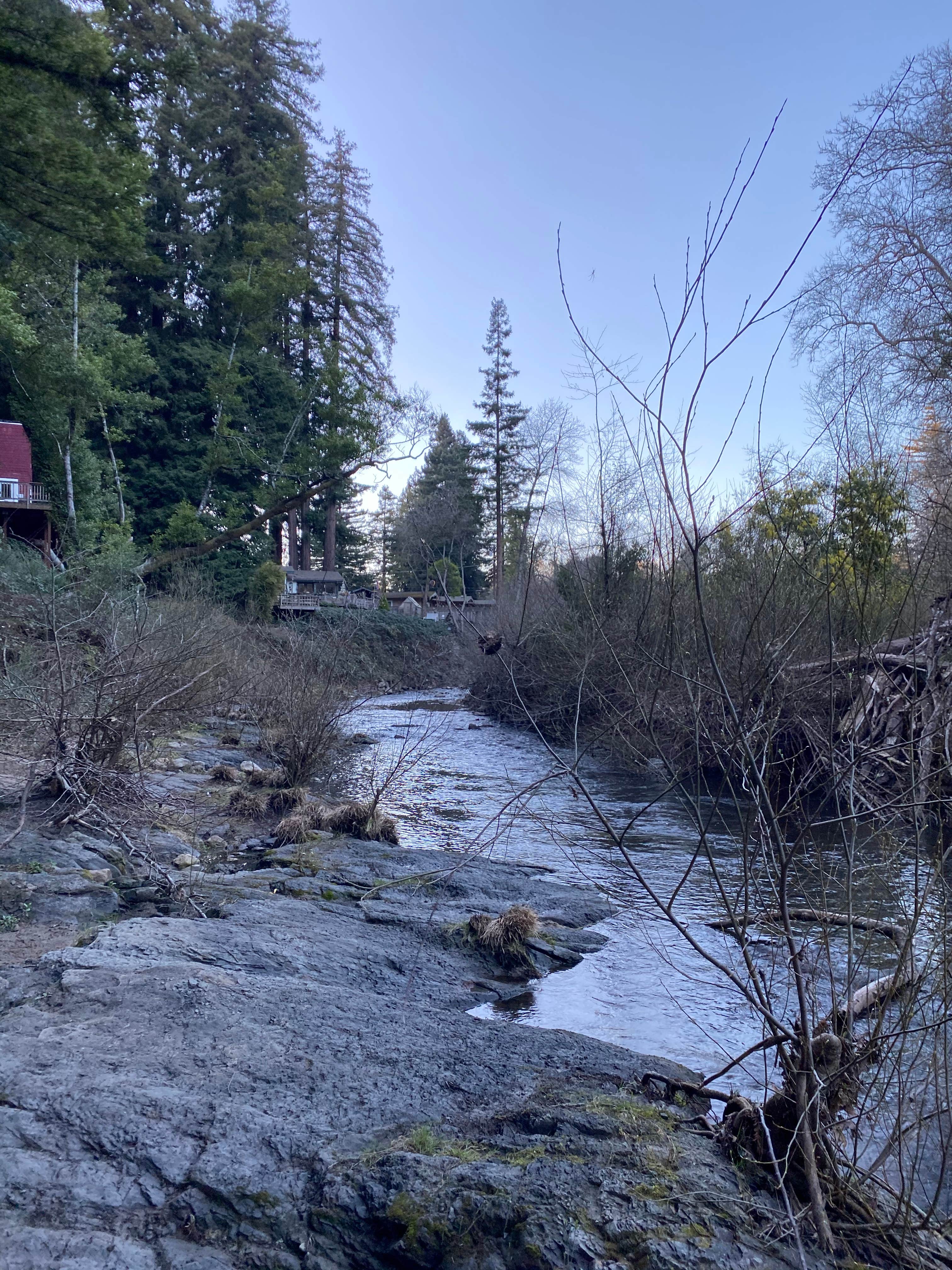 Best camping near San Jose, California The Dyrt