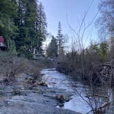 Review photo of Santa Cruz Redwoods RV Resort by Macie J., August 2, 2021