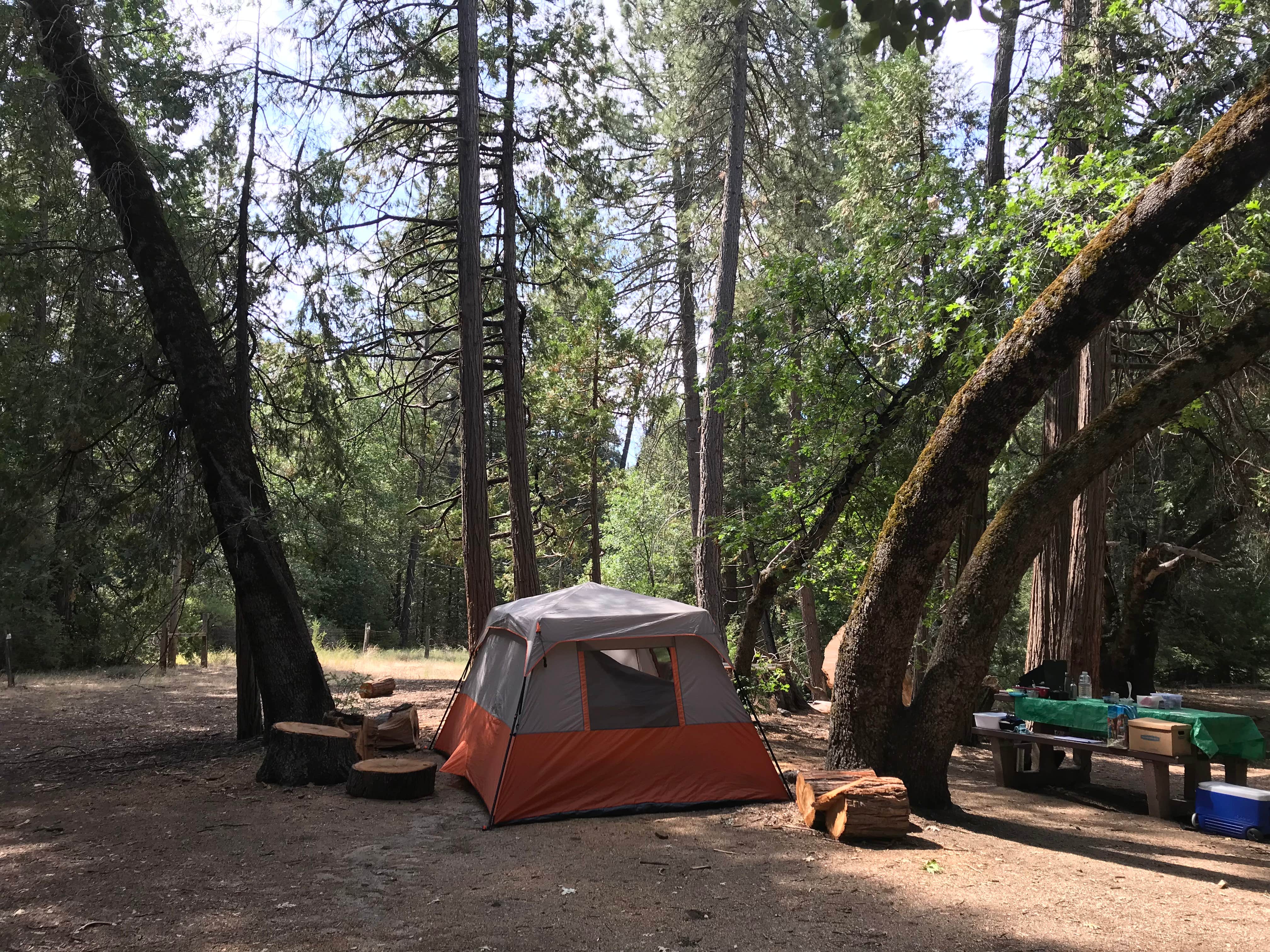 Lisa's photo at Observatory Campground near Aguanga, CA