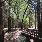 Review photo of Observatory Campground by Lisa , August 2, 2021