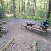 Review photo of Hawk Recreation Area Campground by Daniel F., August 2, 2021