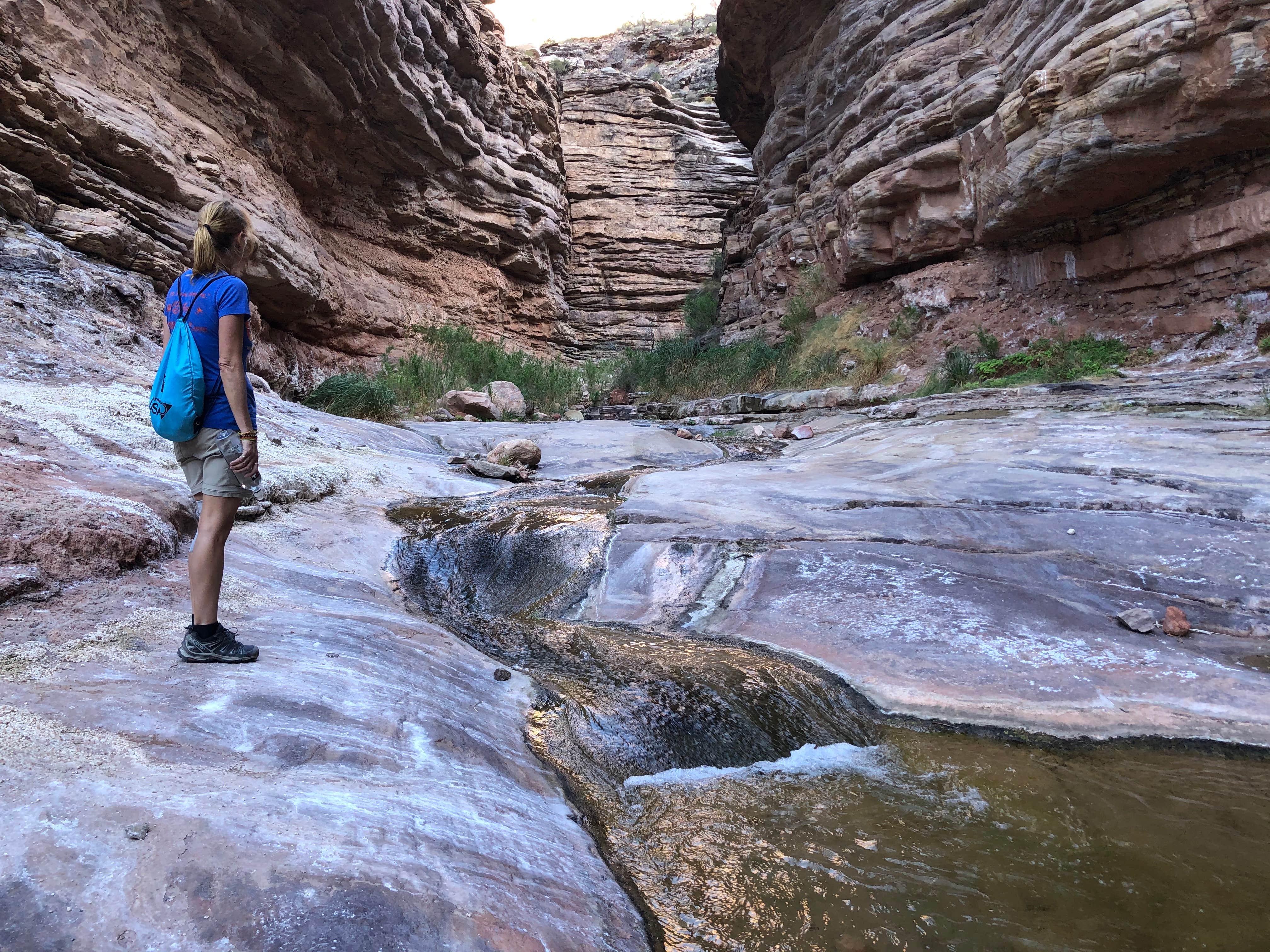 Camper submitted image from Granite Rapids Area Campsites — Grand Canyon National Park - 5