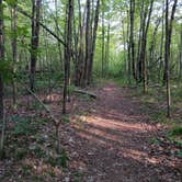 Review photo of Newaygo State Park Campground by Kathleen C., August 3, 2021