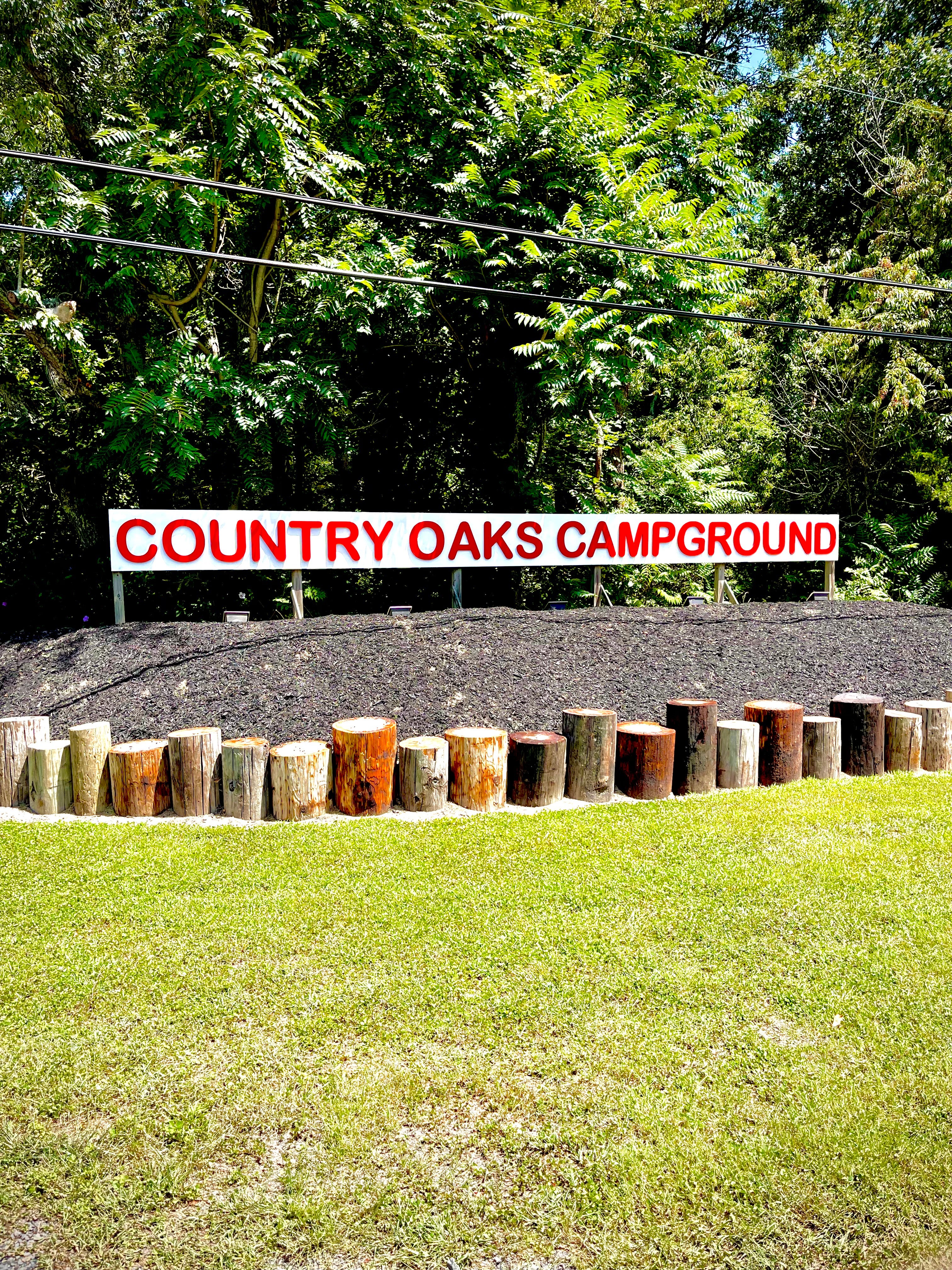 Camper submitted image from Spacious Skies Country Oaks - 2