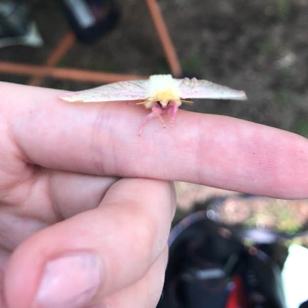 Lake Dennison Recreation Area Camping Winchendon, MA