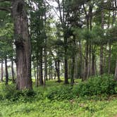 Review photo of Lake Dennison Recreation Area by Amber C., August 3, 2021