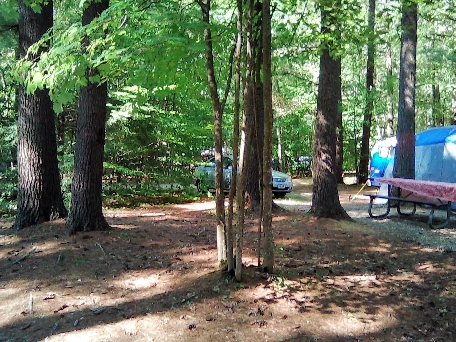 Gail W.'s photo at Bear Brook State Park Campground near Auburn, NH