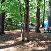 Review photo of Bear Brook State Park Campground by Gail W., August 3, 2021