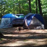 Review photo of Bear Brook State Park Campground by Gail W., August 3, 2021