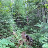 Review photo of Flour Lake Campground by Joe H., August 3, 2021