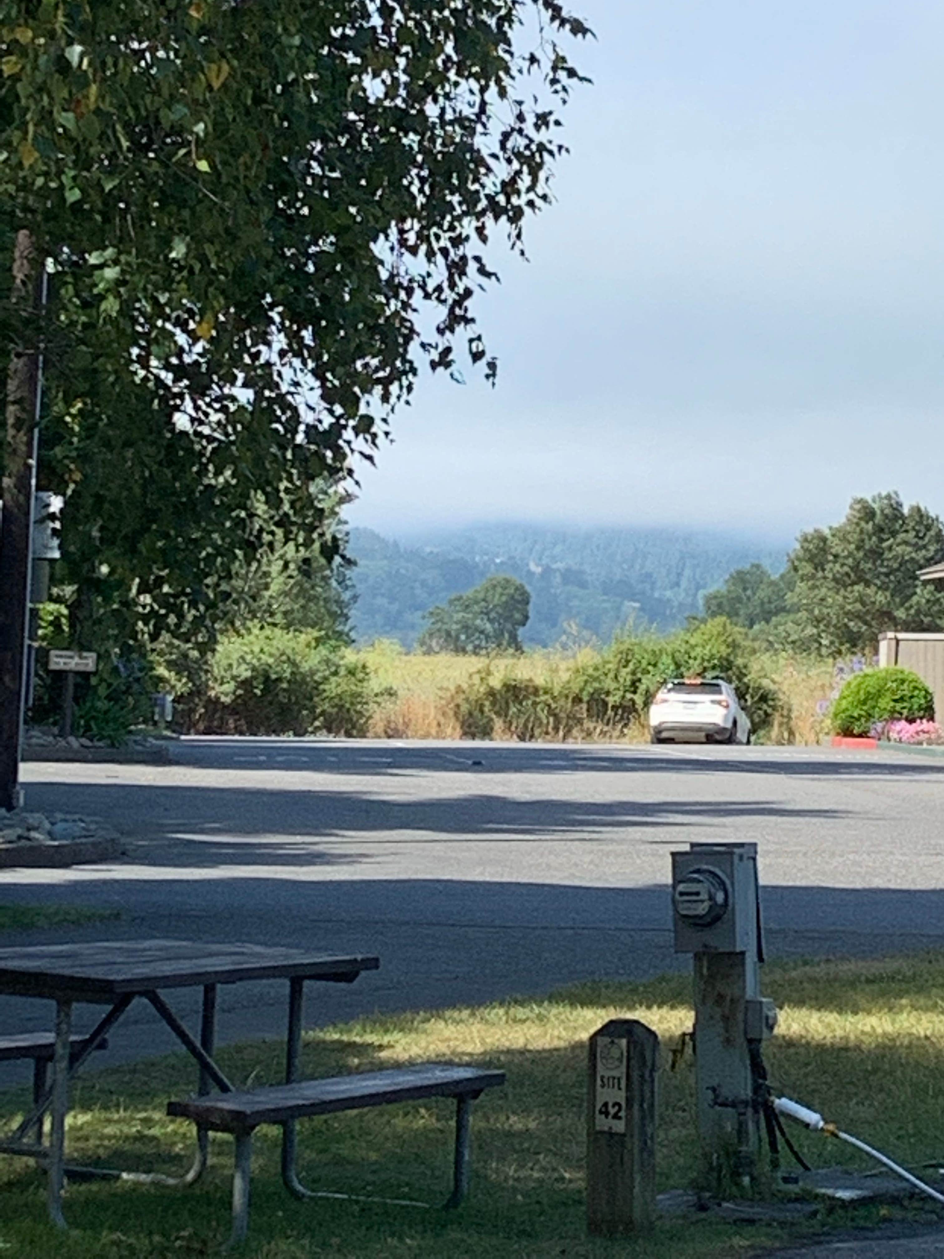 Camper submitted image from Riverwalk RV Park - 5