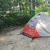 Review photo of Black Mountain Campground - CLOSED INDEFINITELY by Katrin M., June 17, 2018