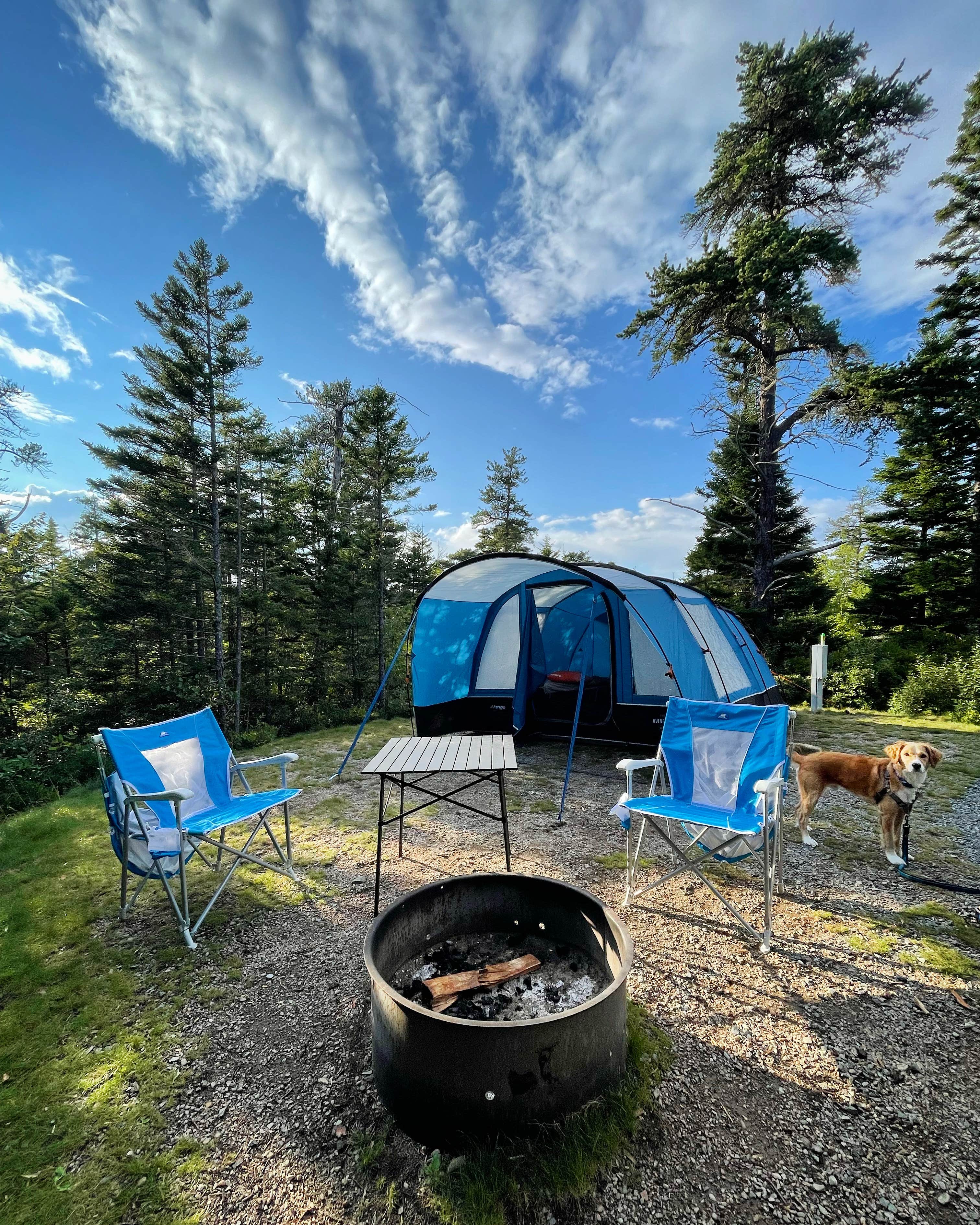 Best camping in Acadia National Park The Dyrt