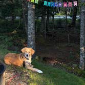 Review photo of Schoodic Woods Campground — Acadia National Park by Jess S., August 3, 2021