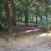 Review photo of Black Mountain Campground by Katrin M., June 17, 2018