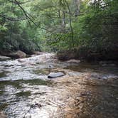 Review photo of Black Mountain Campground - CLOSED INDEFINITELY by Katrin M., June 17, 2018