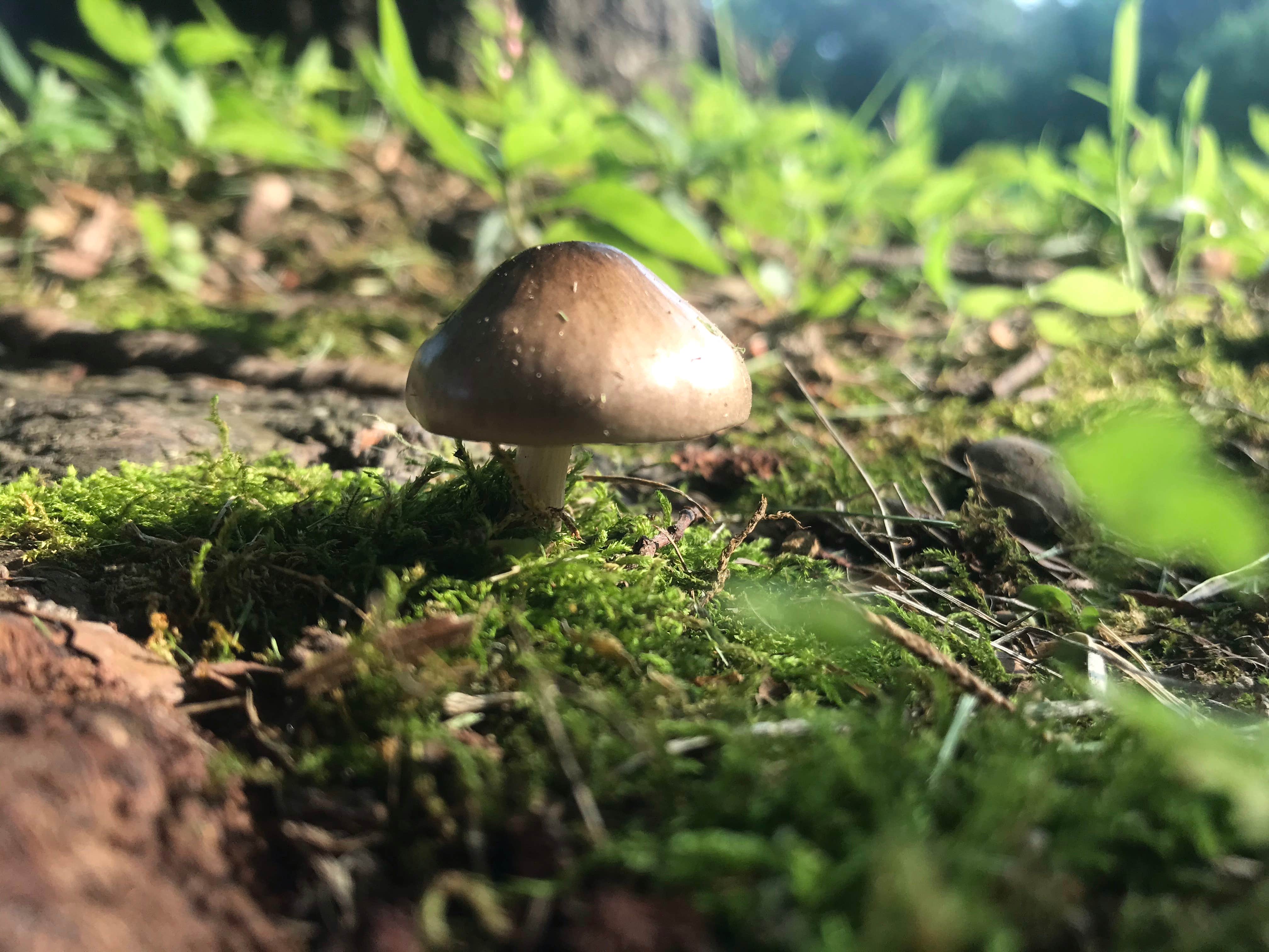 Camper-submitted photo at Beaver Dam State Park Campground near St. Ann, MO