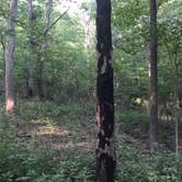 Review photo of Beaver Dam State Park Campground by Larkyn , August 3, 2021