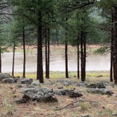 Review photo of Kaibab National Forest Kaibab Lake Campground by Shuree F., August 3, 2021