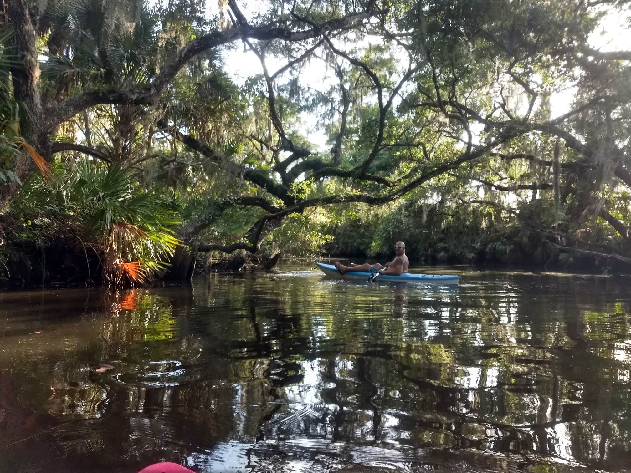 Oscar Scherer State Park Campground | Osprey, FL