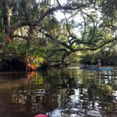Review photo of Oscar Scherer State Park Campground by Rachel G., June 17, 2018