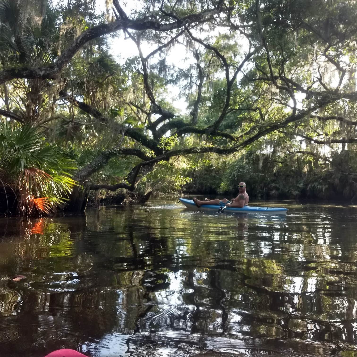 Escape To Serenity: Oscar Scherer State Park, Florida’s Hidden Gem