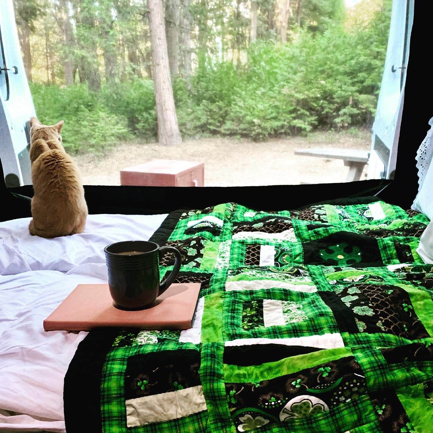 Shuree F.'s photo of camping with pets at Dogwood near Cedar Glen, CA