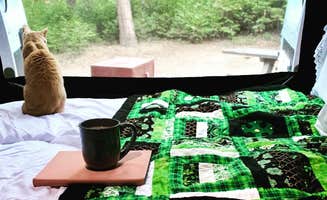 Shuree F.'s photo of camping with pets at Dogwood near Blue Jay, CA