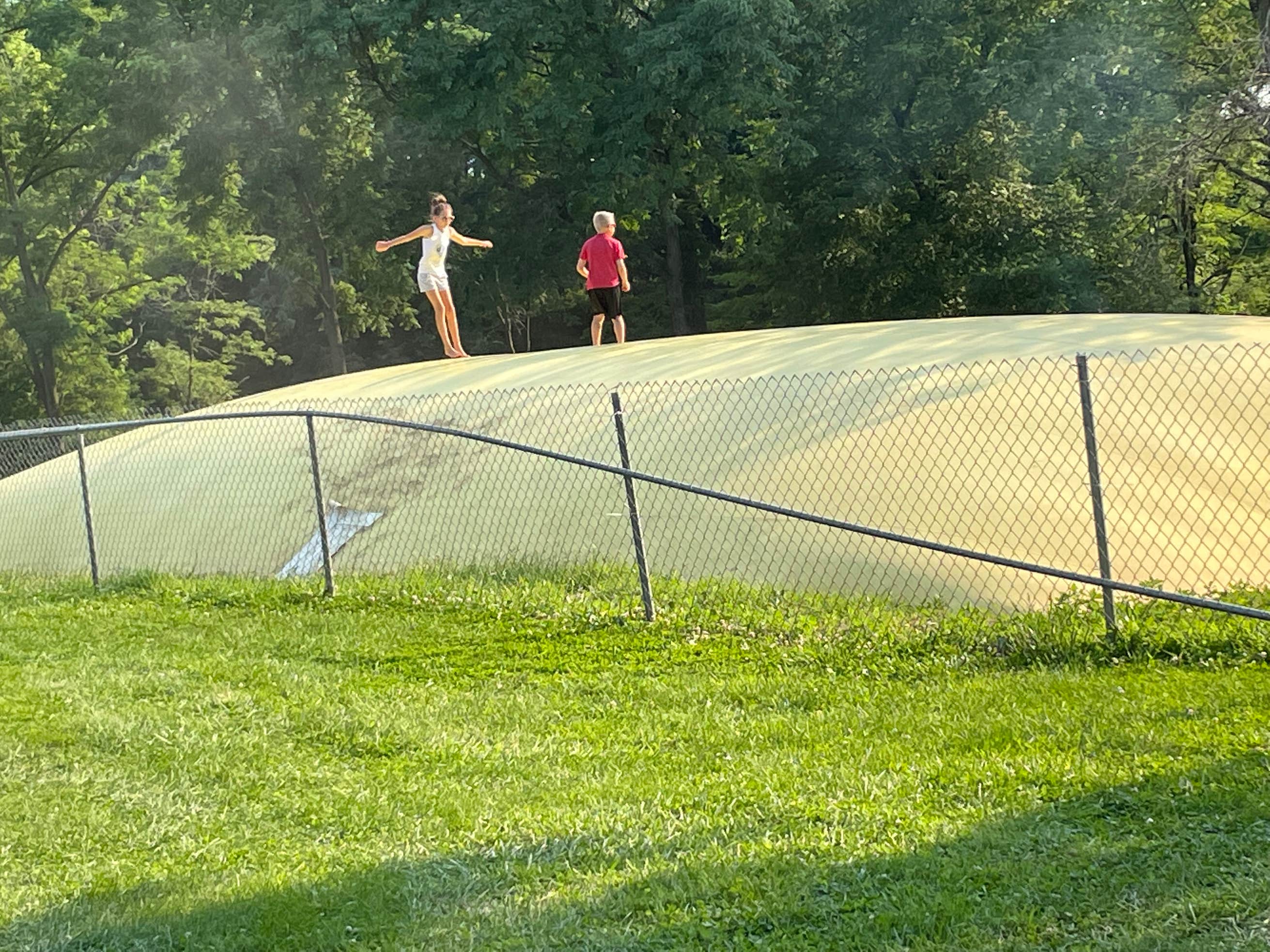 Timberline Campground The Dyrt