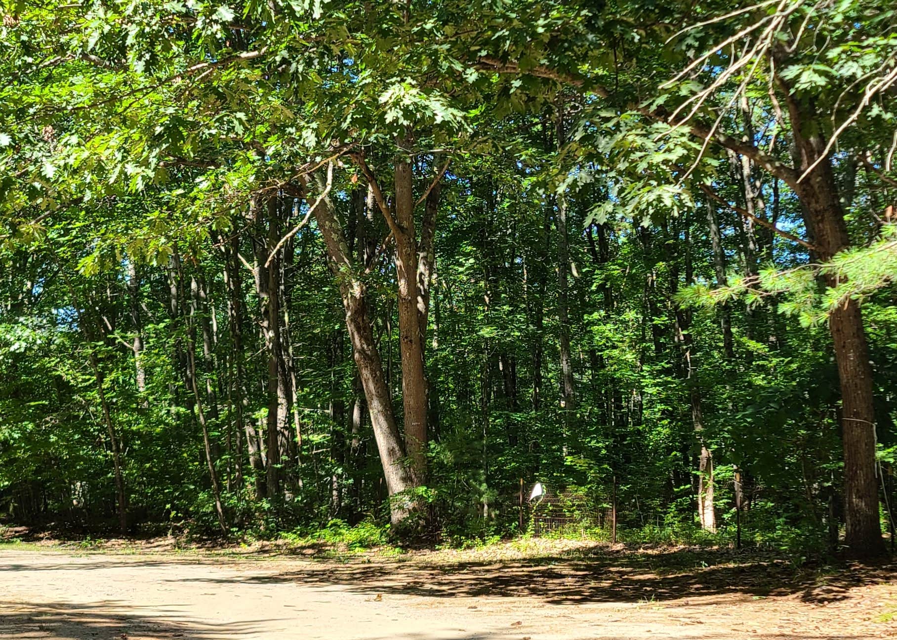 Salmon Falls / Lebanon KOA Camping The Dyrt