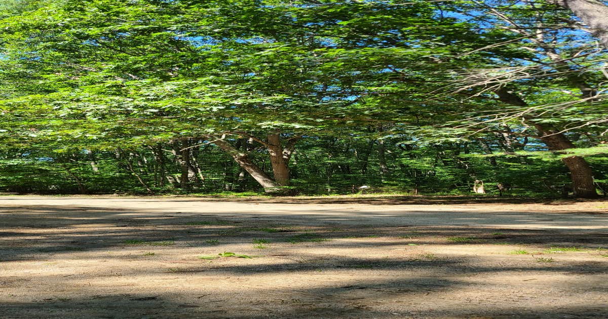 Salmon Falls / Lebanon KOA Camping Lebanon, ME