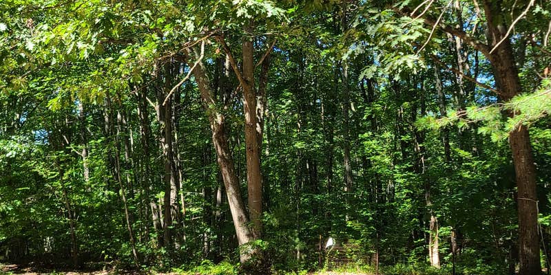 Camper submitted image from Salmon Falls / Lebanon KOA