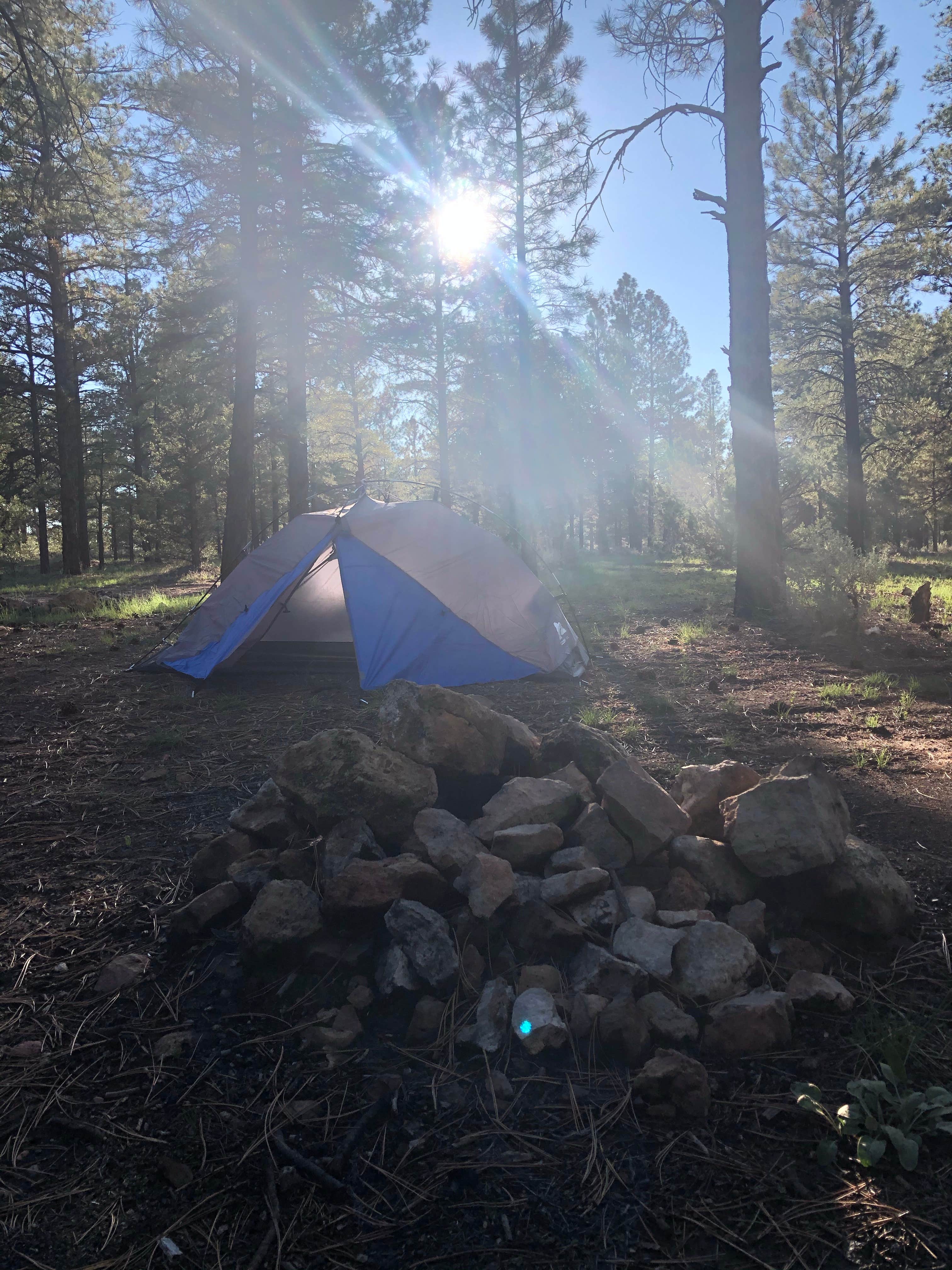 Camper-submitted photo at Forest Service Road 302 Dispersed near Tuba City, AZ