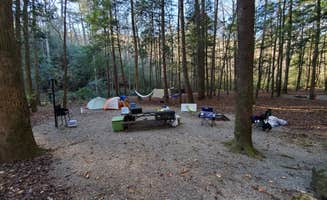 Jesse D.'s photo at Desoto Falls Recreation Area near Chattahoochee-Oconee National Forests