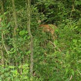 Review photo of Watkins Mill State Park Campground by gebriell S., August 3, 2021