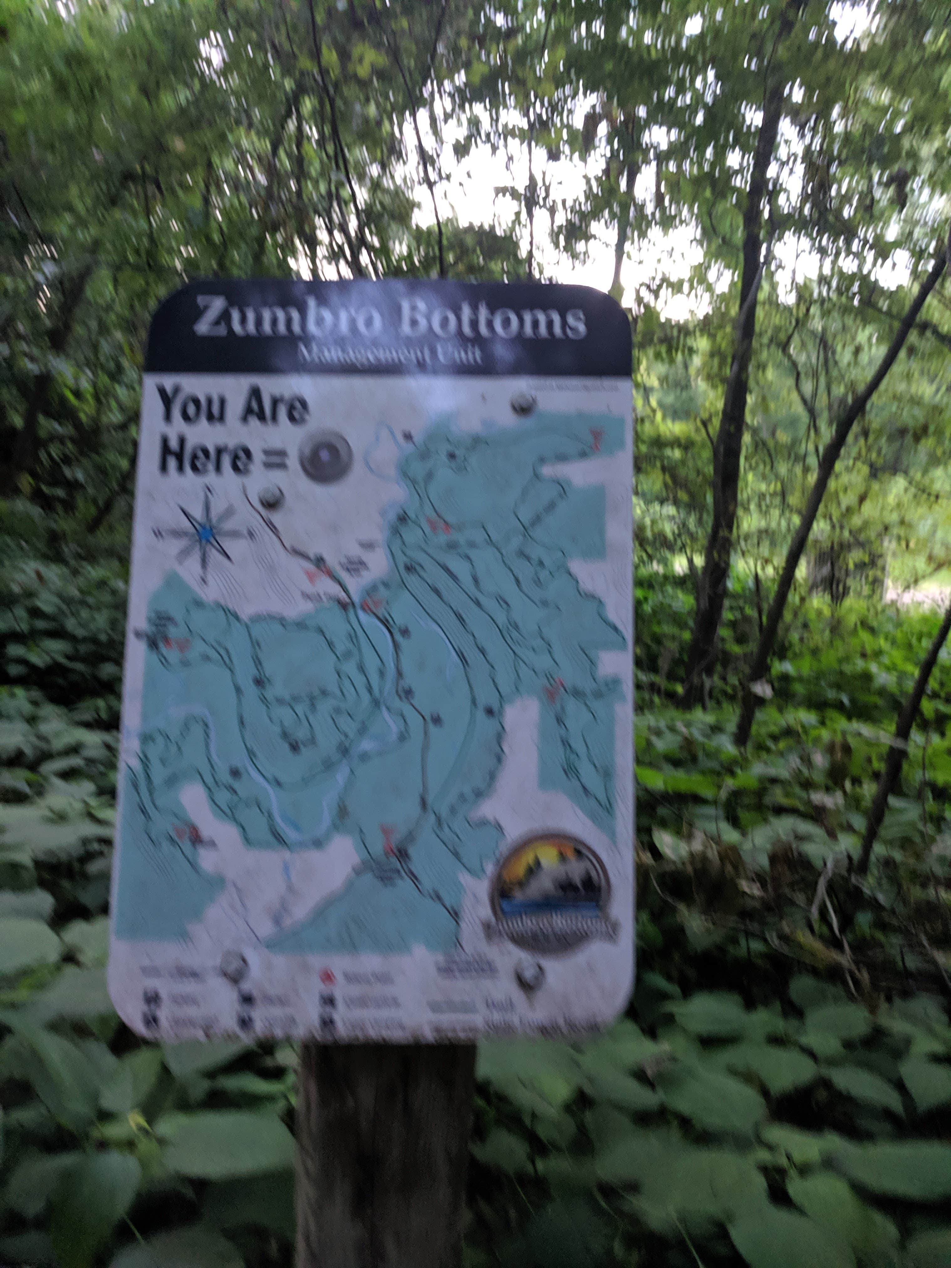 Zumbro Bottoms North — R.J.D. Memorial Hardwood State Forest Camping