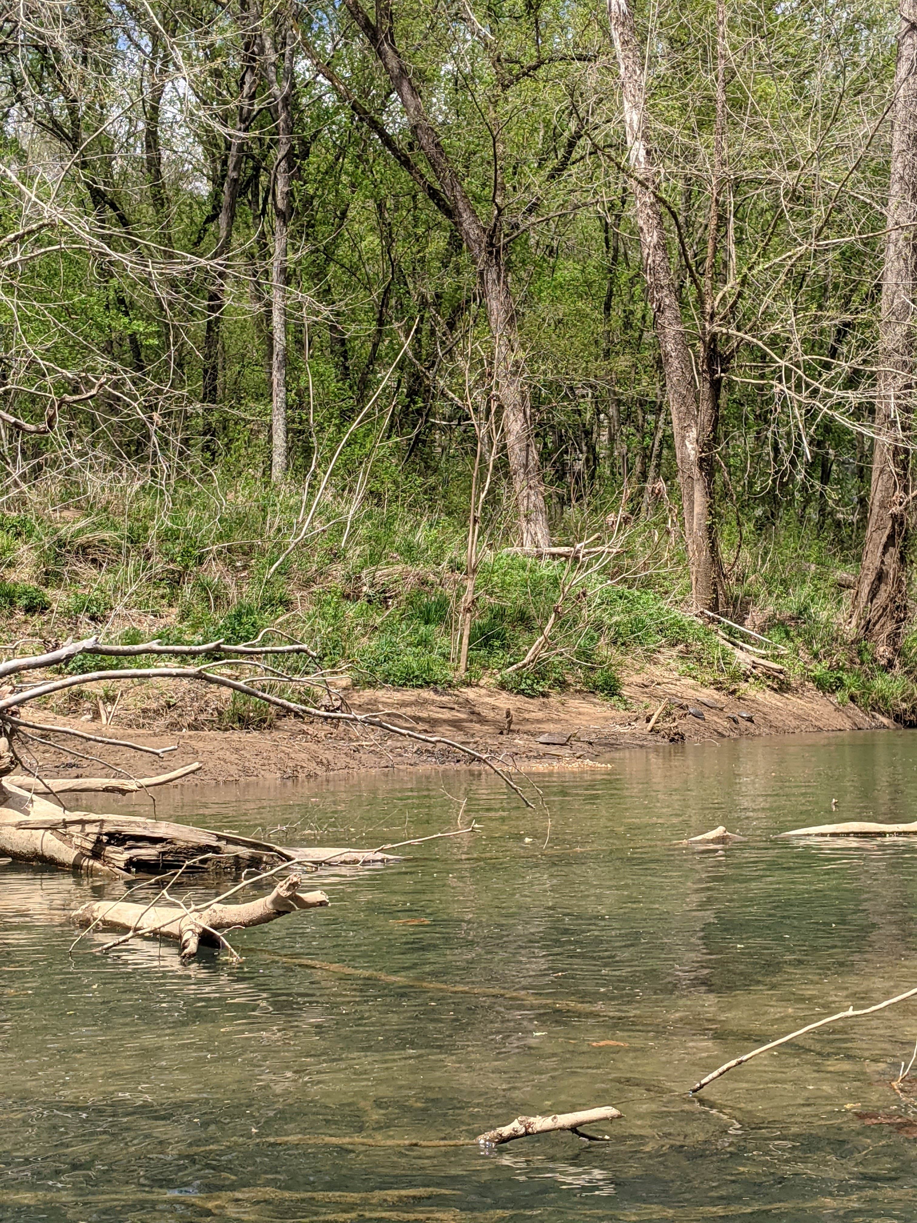 Camper submitted image from Tyler Bend Campground — Buffalo National River - 4