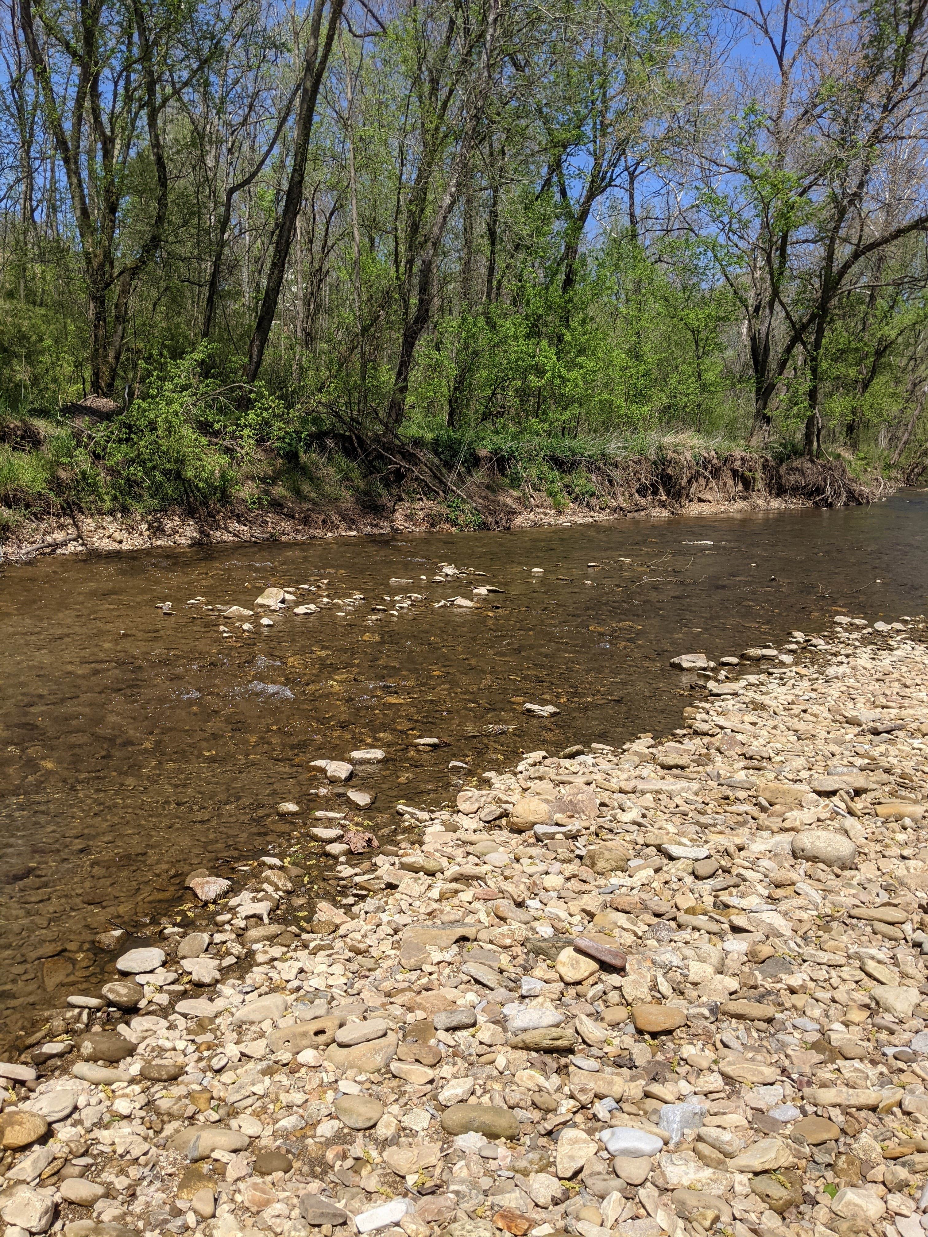 Camper submitted image from Tyler Bend Campground — Buffalo National River - 3