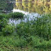 Review photo of Lorraine Park Campground — Harold Parker State Forest by katheryn H., August 3, 2021