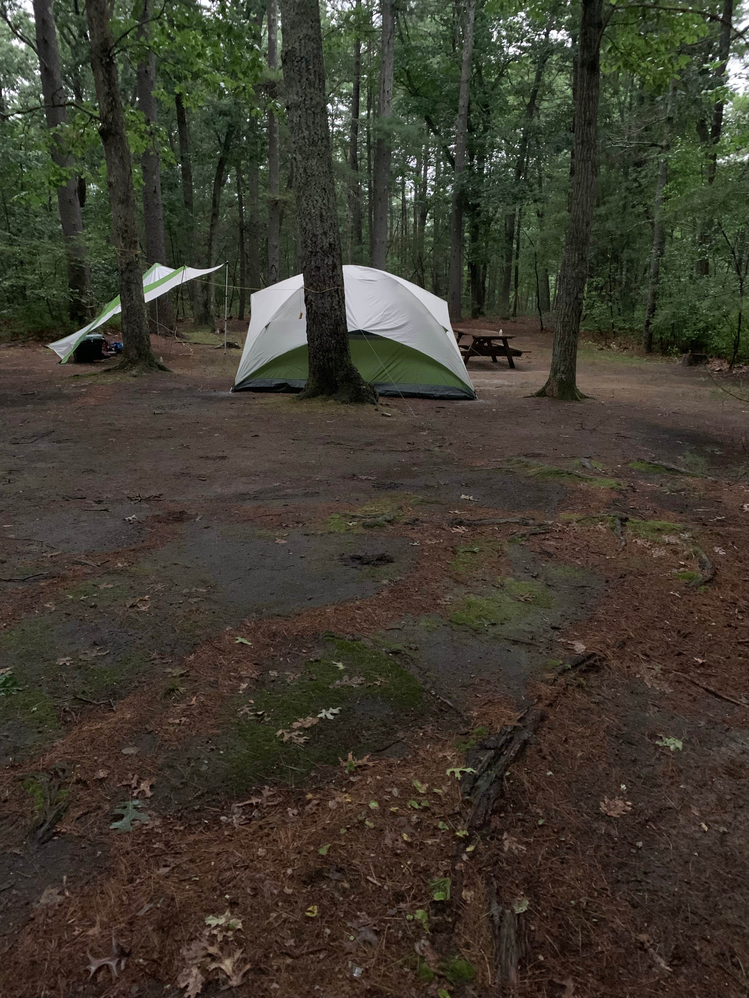 katheryn H.'s photo at Lorraine Park Campground — Harold Parker State Forest near Dover, MA