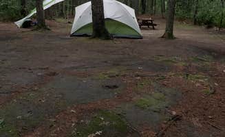 katheryn H.'s photo at Lorraine Park Campground — Harold Parker State Forest near Dover, MA