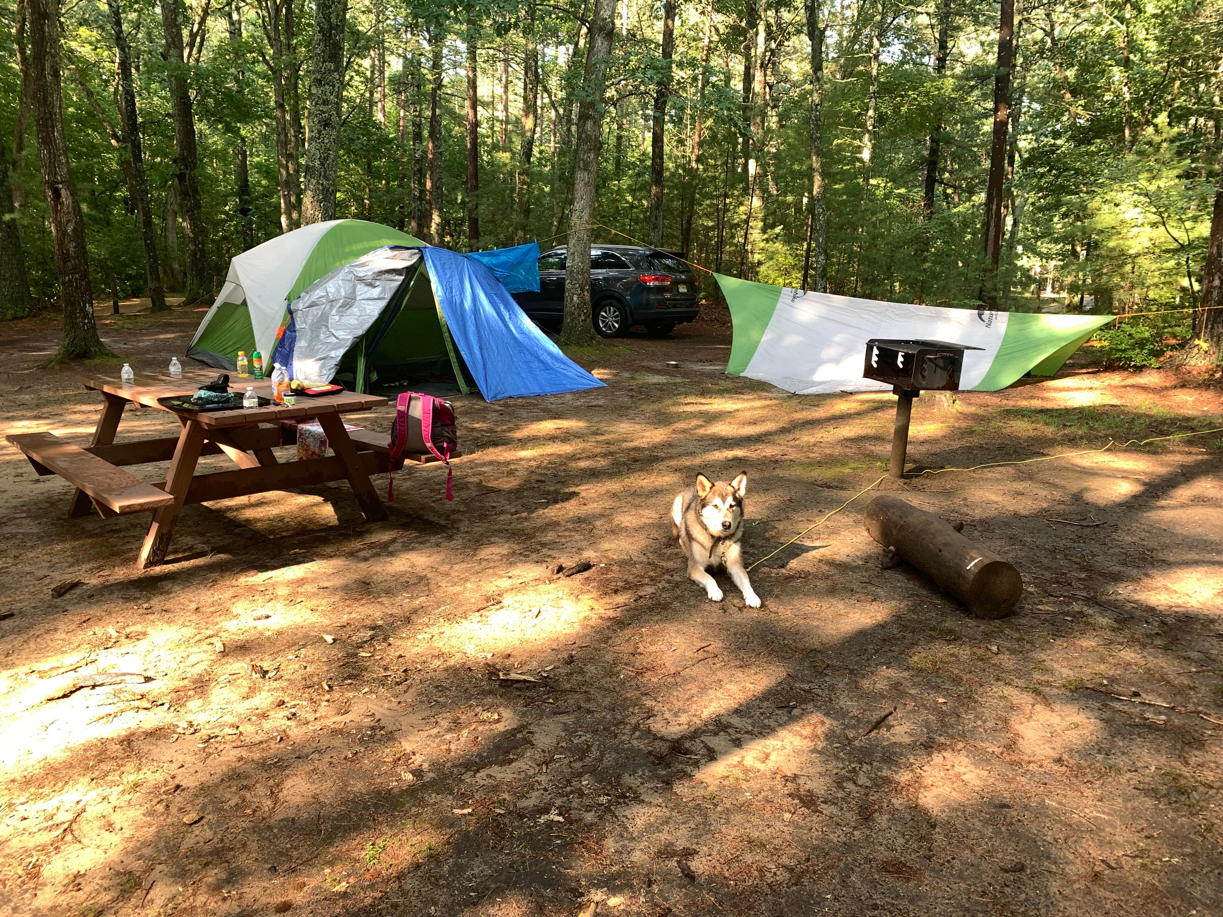 katheryn H.'s photo at Lorraine Park Campground — Harold Parker State Forest near Hingham, MA