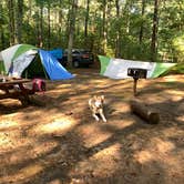 Review photo of Lorraine Park Campground — Harold Parker State Forest by katheryn H., August 3, 2021
